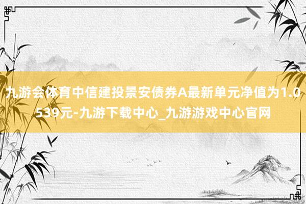 九游会体育中信建投景安债券A最新单元净值为1.0539元-九游下载中心_九游游戏中心官网