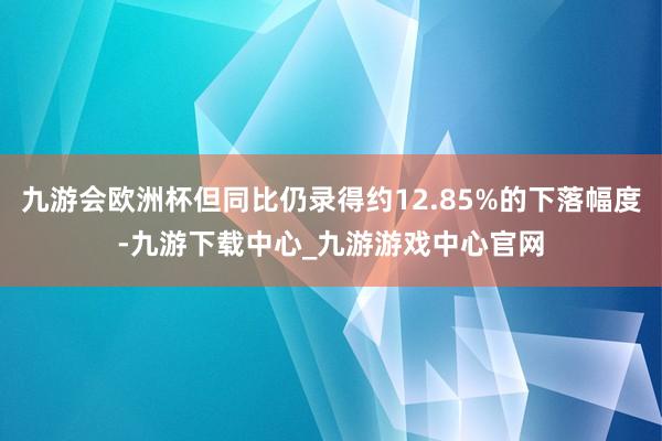 九游会欧洲杯但同比仍录得约12.85%的下落幅度-九游下载中心_九游游戏中心官网