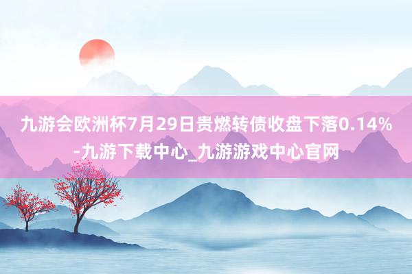 九游会欧洲杯7月29日贵燃转债收盘下落0.14%-九游下载中心_九游游戏中心官网