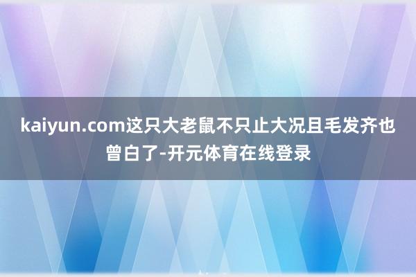 kaiyun.com这只大老鼠不只止大况且毛发齐也曾白了-开元体育在线登录
