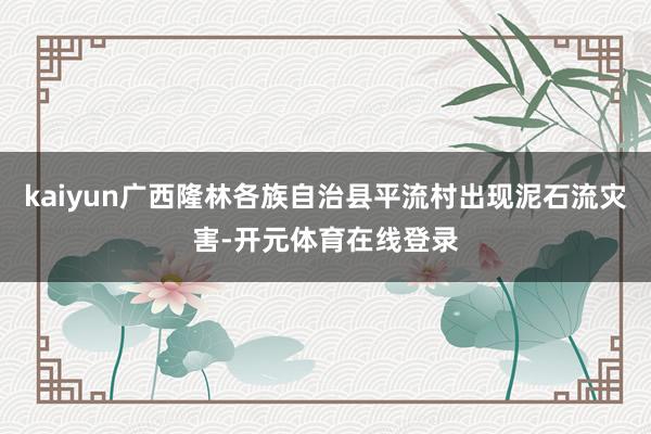 kaiyun广西隆林各族自治县平流村出现泥石流灾害-开元体育